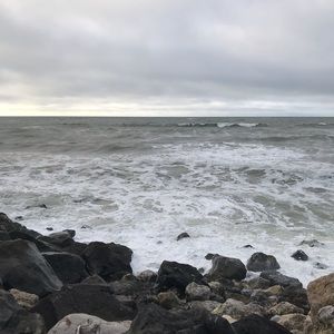 Meet your Posher, Charlotte